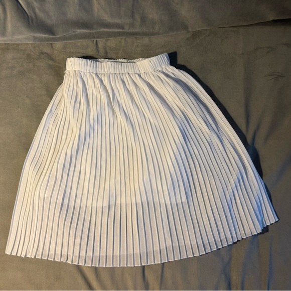 Pleated skirt - Picture 1 of 3